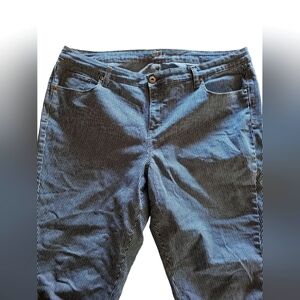 Style & Co. Blue Pinstripe Straight Leg Capri Jeans - NWOT Size 18W